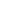 module-icon